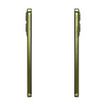 Iguana_G15_05.png